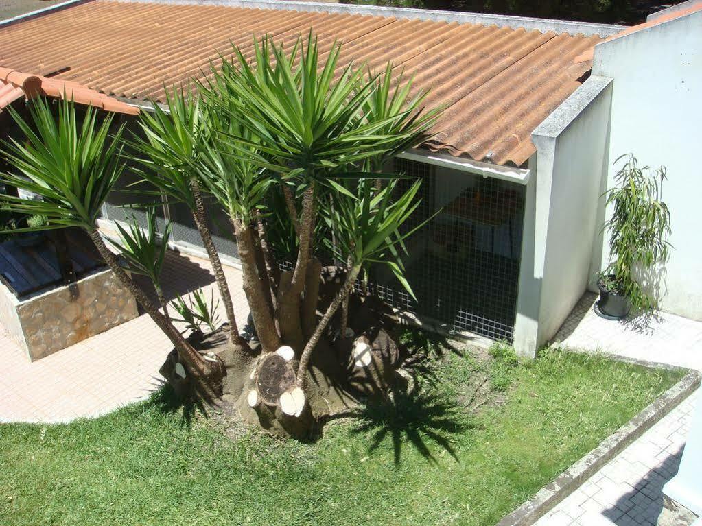 Casa De Hospedes Flor Do Jardim Malveira Exterior foto